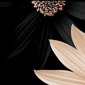 Meet your Posher, Eman